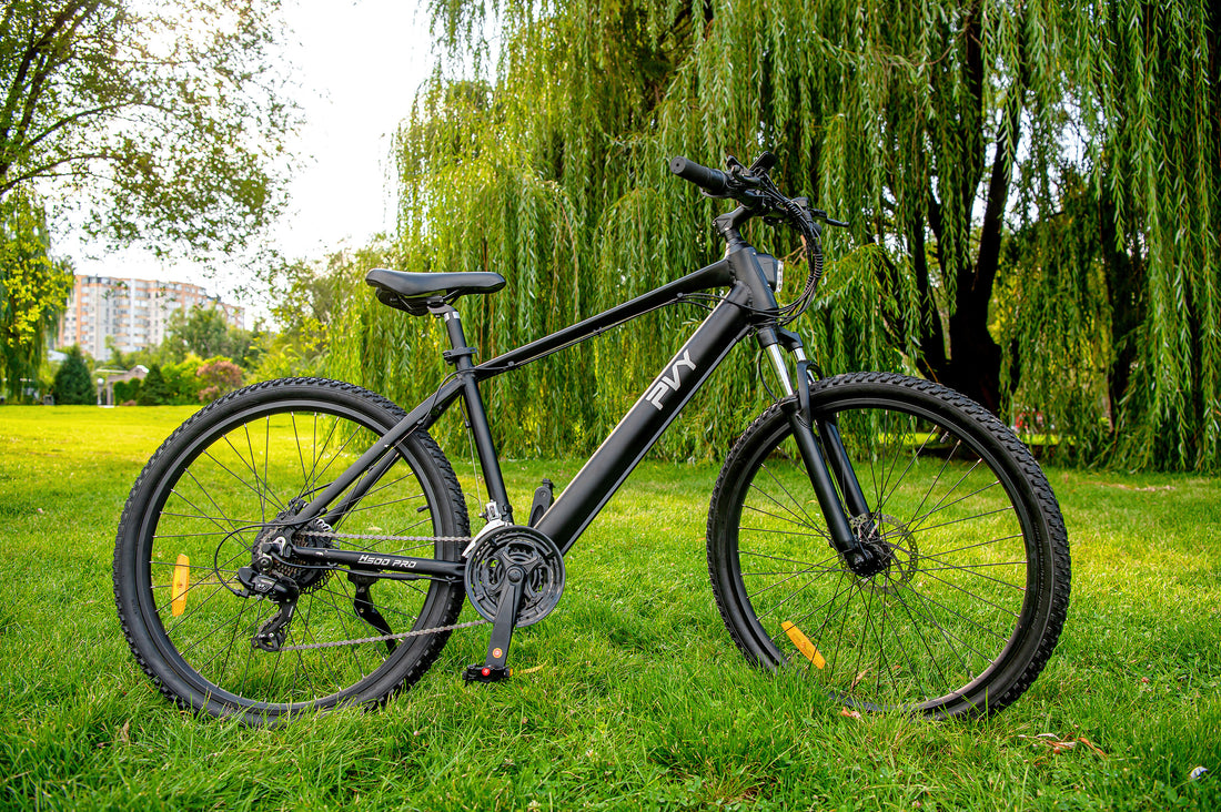 Embrace Summer with Your Ebike