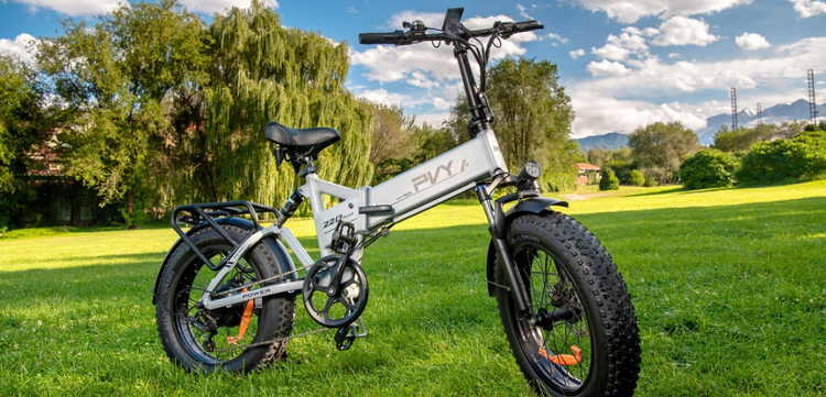 Best Fat Tire Electric Bikes 2025