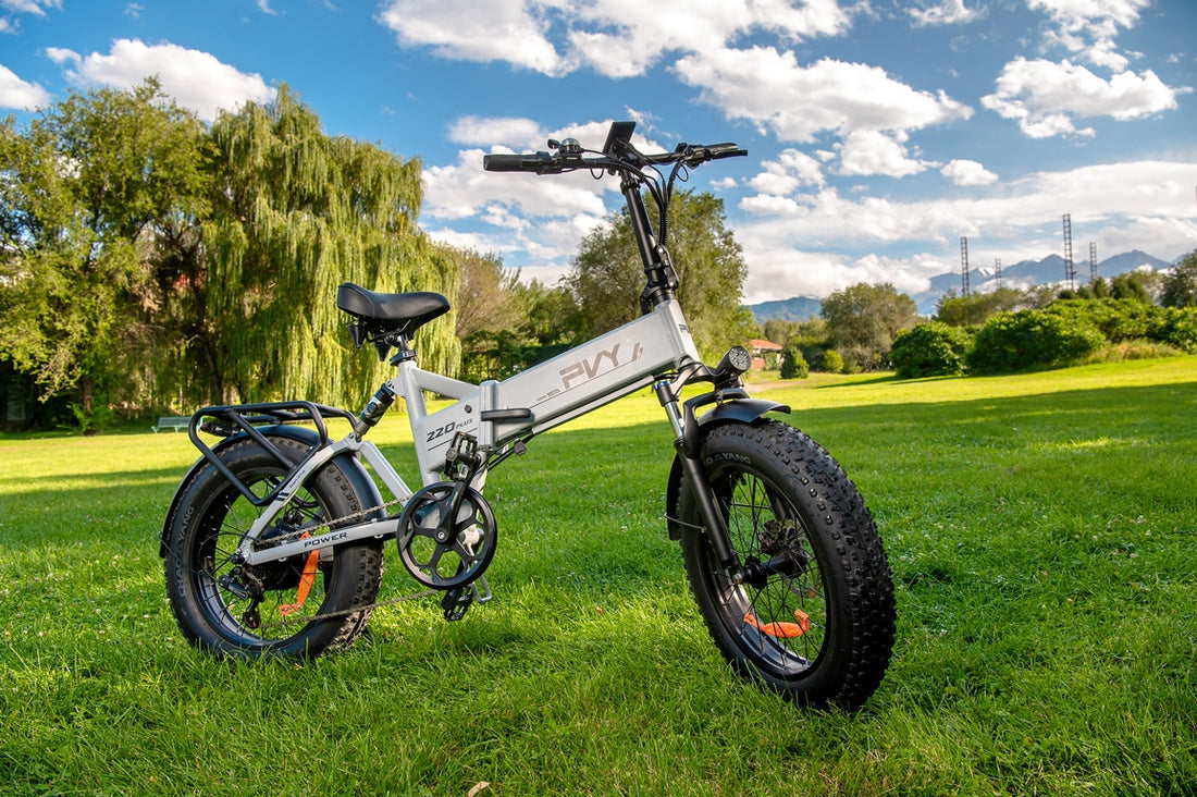 Conquer the Mountains: Choosing the Right E-Bike with PVY